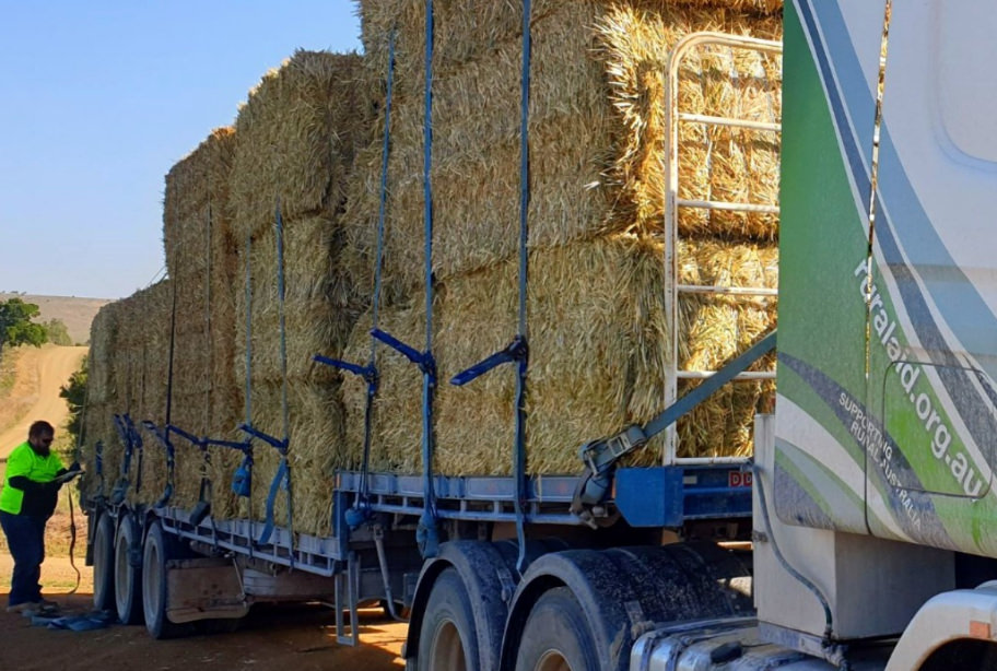 Hay being transported on trucks