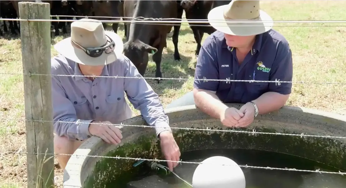 Farmers installing cocky valve ball float